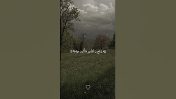 سورة|النبأ #صل_علي_النبي #القرآن_راحة_نفسية #قرآن #ياسر_الدوسري