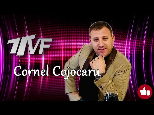 Cornel Cojocaru - Ii cumpar pe toti, mama lor de hoti LIVE - Muzica de petrecere class=