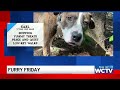 Furry Friday: Meet Earl