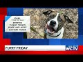 Furry Friday: Meet Earl
