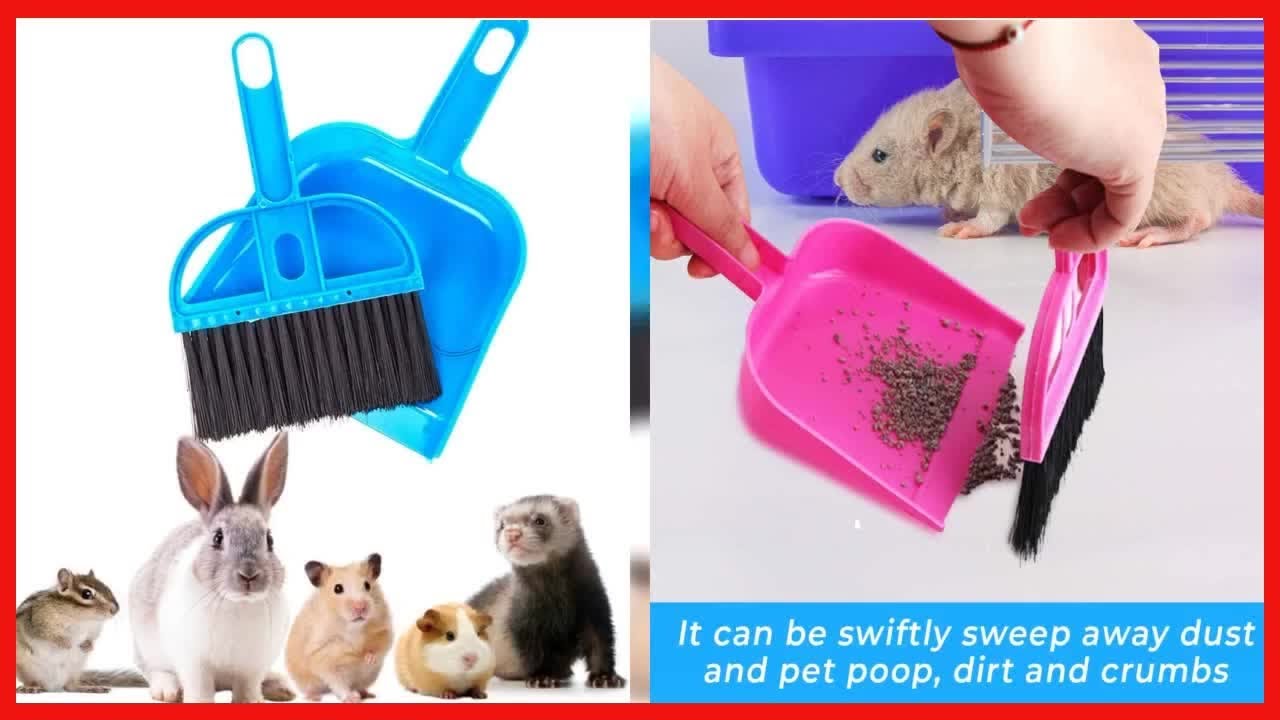 Quality product -  2 Brothers Wholesale Mini Broom and Dustpan Cleaner for Rabbit, Chinchilla, Hedge