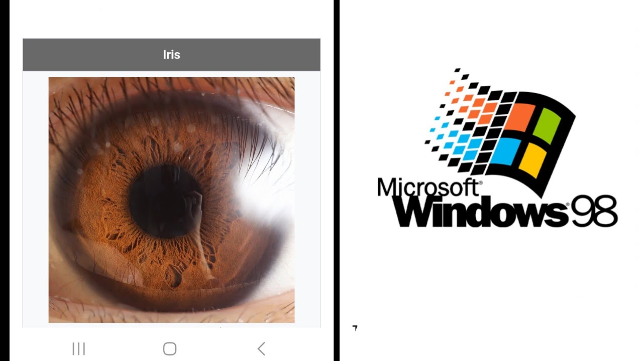 Окна небесные 🪟 Восхищение Пурима