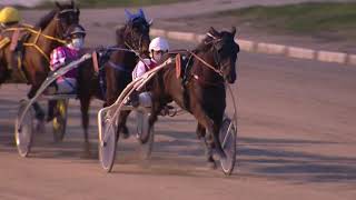 Vidéo de la course PMU PREMI ANGERS