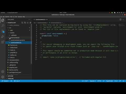 Assets , Environment.ts and favicon.ico in angular