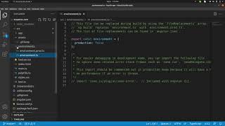 Assets , Environment.ts and favicon.ico in angular