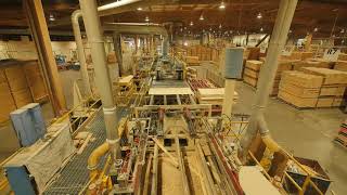 Futurebuild LVL Laminated Veneer Lumber Manufacturing Process