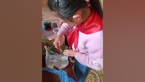 Stem lớp 4: Bài 7: Chậu hoa, cây cảnh mini.