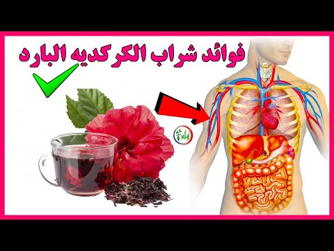 فوائد شراب الكركديه البارد هذا مايحدث لجسمك عند تناول شراب الكركديه البارد لن تصدق فوائده