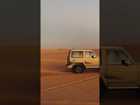 تطعيس ربع 2023 بريمي 2023