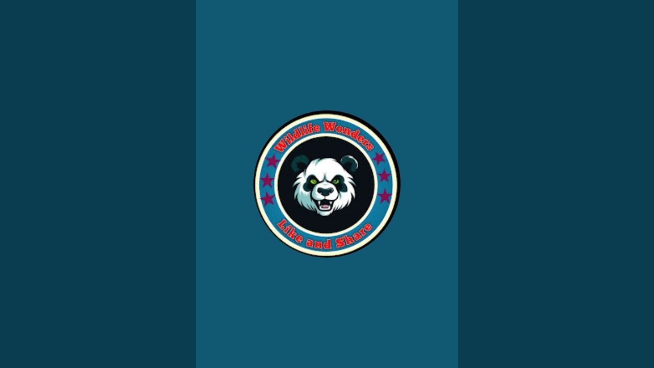 Wildlife Wonders is live