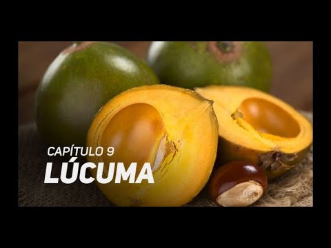 Súper alimentos: Los beneficios de la Lúcuma