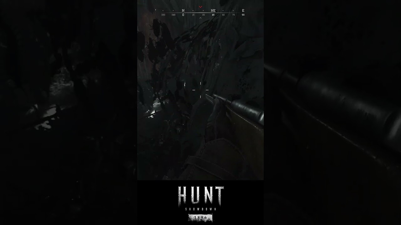 Hunt Showdown Funny Moments 🤣 559
