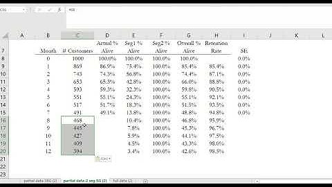 Fitting two segment SG and shifted beta geometric models to retention data in Excel