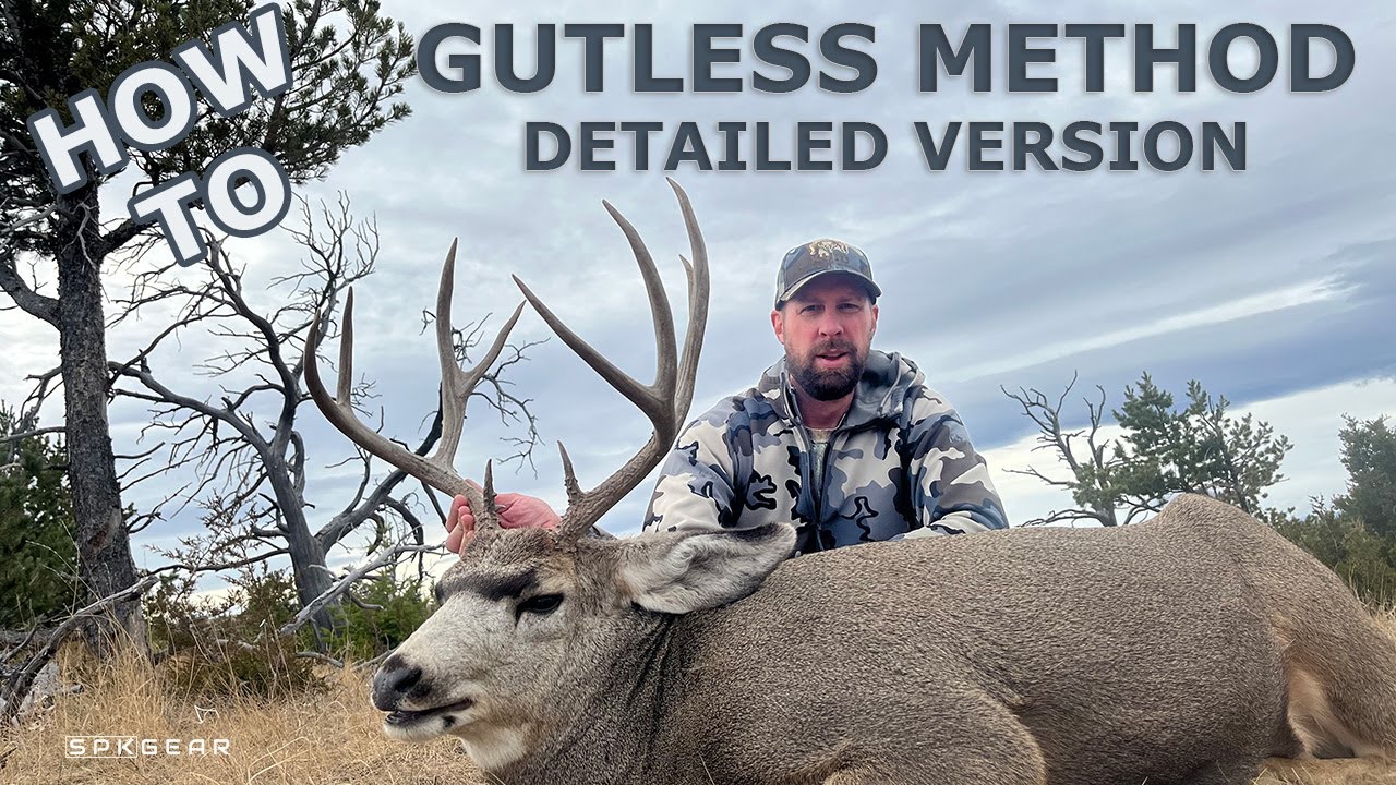 THE GUTLESS METHOD HOW TO Deer in Detail hunting YouTube