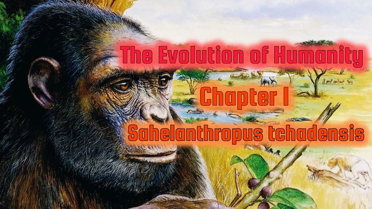Sahelanthropus Tchadensis The First Step In Human Evolution Youtube 