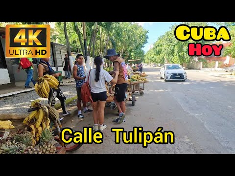 From Cerro to Nuevo Vedado. CUBA TODAY in 4K UHD