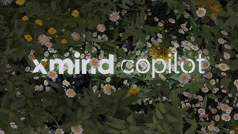 xmind copilot video