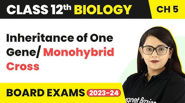 Class 12 Biology Chapter 5 | Inheritance of One Gene/ Monohybrid Cross CBSE/NEET (2022-23)