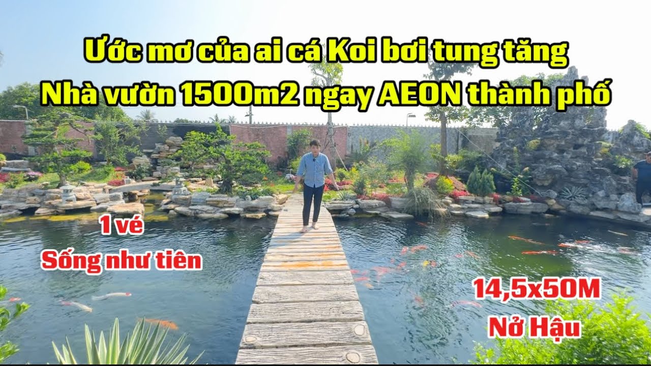 Ước mơ của ai cá Koi bơi tung tăng nhà vườn 1500m2 ngay AEON thành phố 1 vé sống như tiên nở hậu 50m