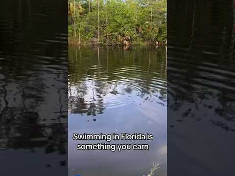 Do not try this π #florida #alligator #gator #floridaman #fyp