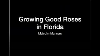 Growing Roses in Florida Caring For Roses In Florida
