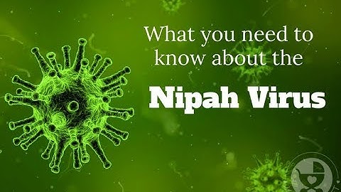 What you need to know about Nipah Virus