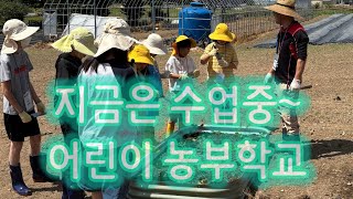 어린이농부학교 ㅣ친환경 저탄소 탄소제로 ㅣ강사: 김철호 장영애 #농부학교 #김철호 #장영애 #친환경농업 #저탄소 #탄소제로