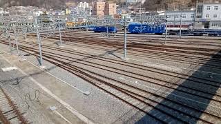 디젤기관차 7381호 견인 남도해양관광열차 S-Train #4871 열차