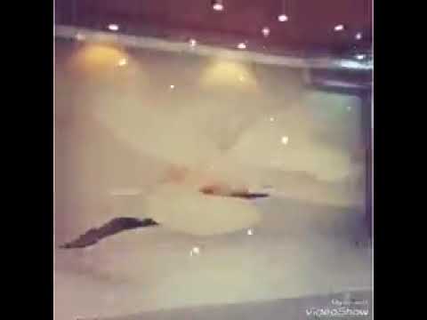 استراحة تولاي ضوء القمر