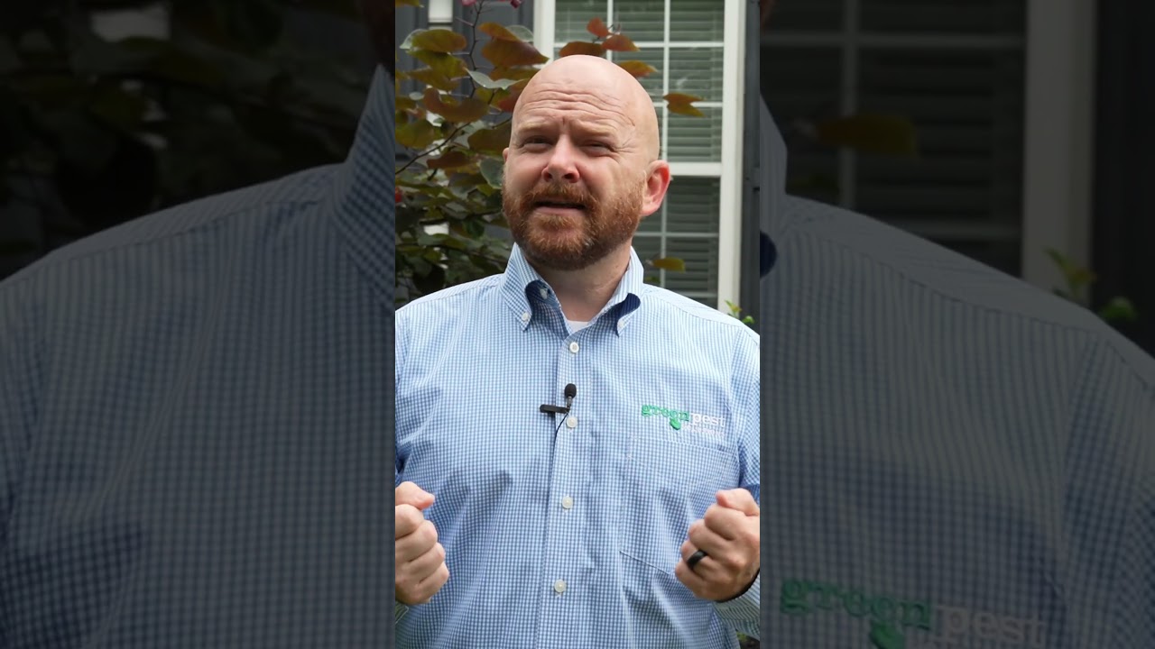 The ONLY Pest Control Tip You Need