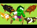 Monster School : Braver Baby Hulk Rescue Poor Dog - Sad Story - Minecraft Animation