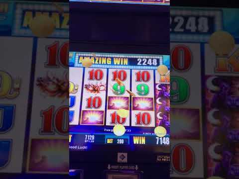 Brown Betty at Sunland Park Racetrack & Casino