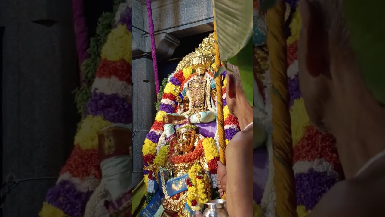Brahmotsavam Day 2 - Venugopala Swamy Temple,, Hanumad Vahanam, Arayar Sevai, Unjal - 19/02/2026