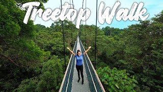 HIKING TO SINGAPORE'S HIGHEST POINT