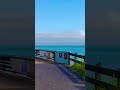 Point Pinole Regional Shoreline #shorts #fishing #walking #nature #california
