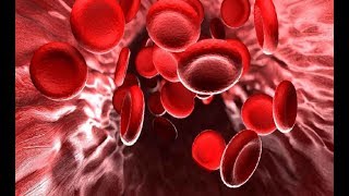 Как улучшить кровообращение в организме
