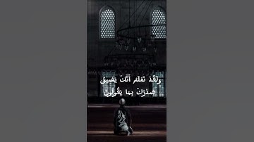 #قرآن #القرآن_الكريم #تلاوة #تدبر #قرآن_كريم #آيات #قرآني #صوت_القرآن #القرآن_نور #القرآن_شفاء #