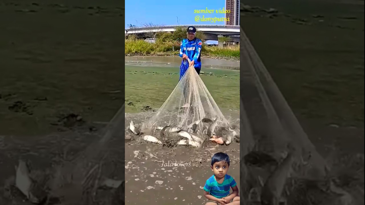 #fishing #jala #bassfishing #menjaring #jalaikansungai #fish - YouTube