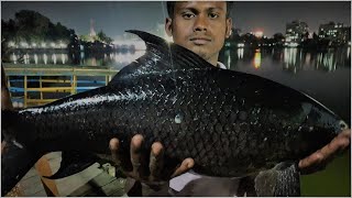 Night FIshing | Big Kala Baush FIsh catching Moment | বড় কালিবাউস মাছ শিকার