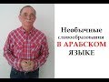 Необычные словообразования в арабском языке