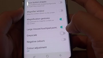 Samsung Galaxy S8: How to Enable / Disable Grayscale Color Screen