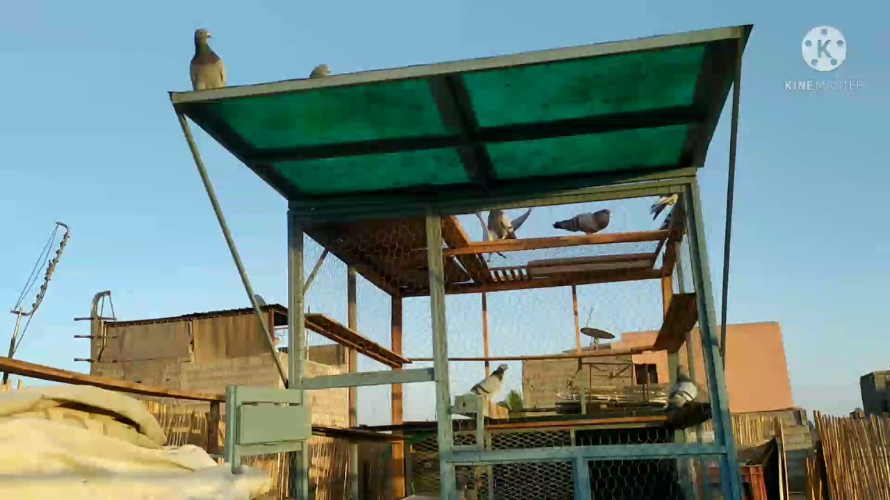 حمام الفعل مراكش ✨ أجيو نشوفو هاد الرمضا بالرش ياسلام+3🕊️بغاو 🔪🔪🔪😋😋😋