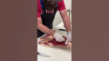 Grassfed Beef Flank Steak Shorts 