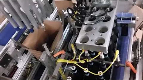 Case Packer 600CP Wepackit Machinery