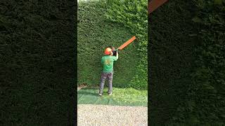 Hedge Trimming #shorts