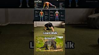 Abdo Walk Variations_lizard crawls variations Functional Mobility _أهمية المرونة  والقوة العضلية...