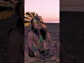 Sharing Ancestral Knowledge: Plants, Tech, and Cultural Heritage #shorts