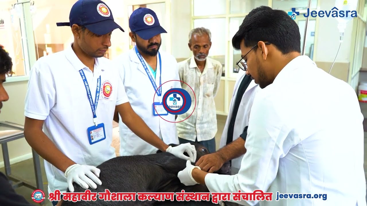 आज जीवासरा में .................#Jeevasra #animallover #indiaanimalhospital
