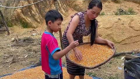 Npaj Pob Kw Mus zom Pub Qaib 25/10/2020