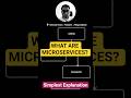 What are Microservices in 30 seconds?